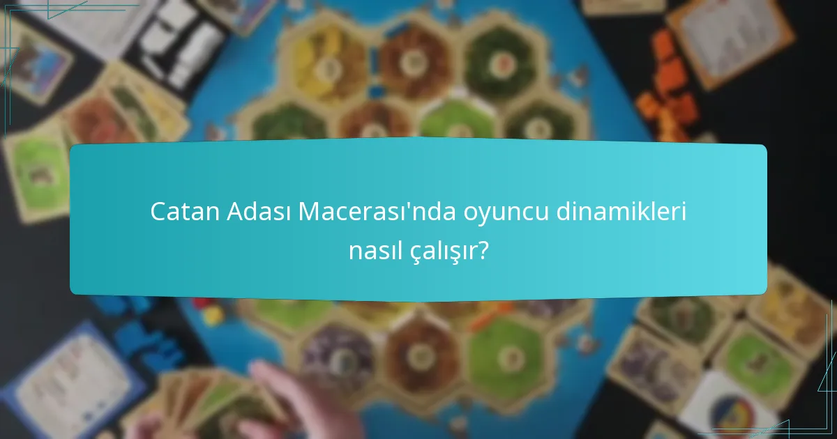 Catan Adası Macerası’nda oyuncu dinamikleri nasıl çalışır?