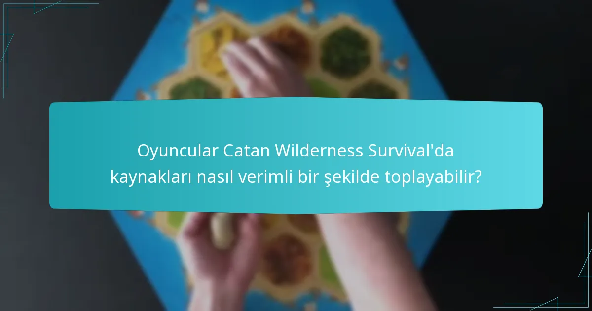Oyuncular Catan Wilderness Survival’da kaynakları nasıl verimli bir şekilde toplayabilir?